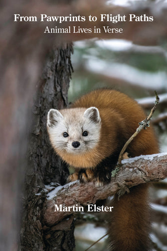 From Pawprints to Flight Paths: Animal Lives in Verse