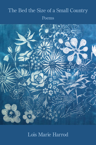 The Bed the Size of a Small Country