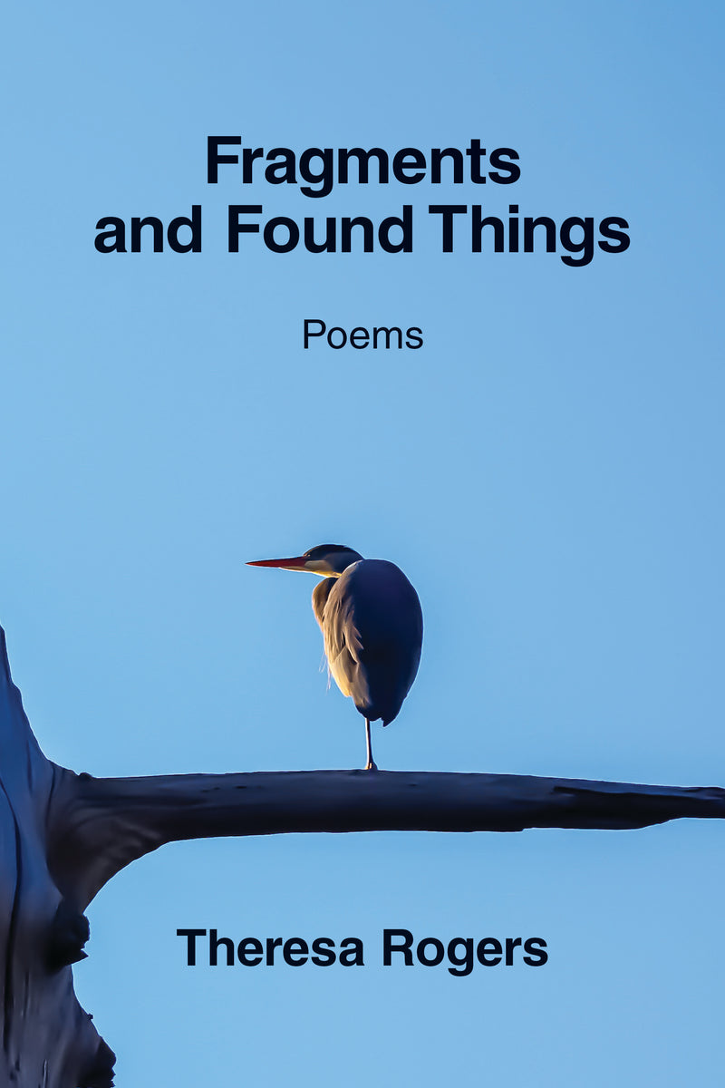 Fragments and Found Things – Kelsay Books