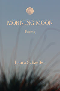 Morning Moon