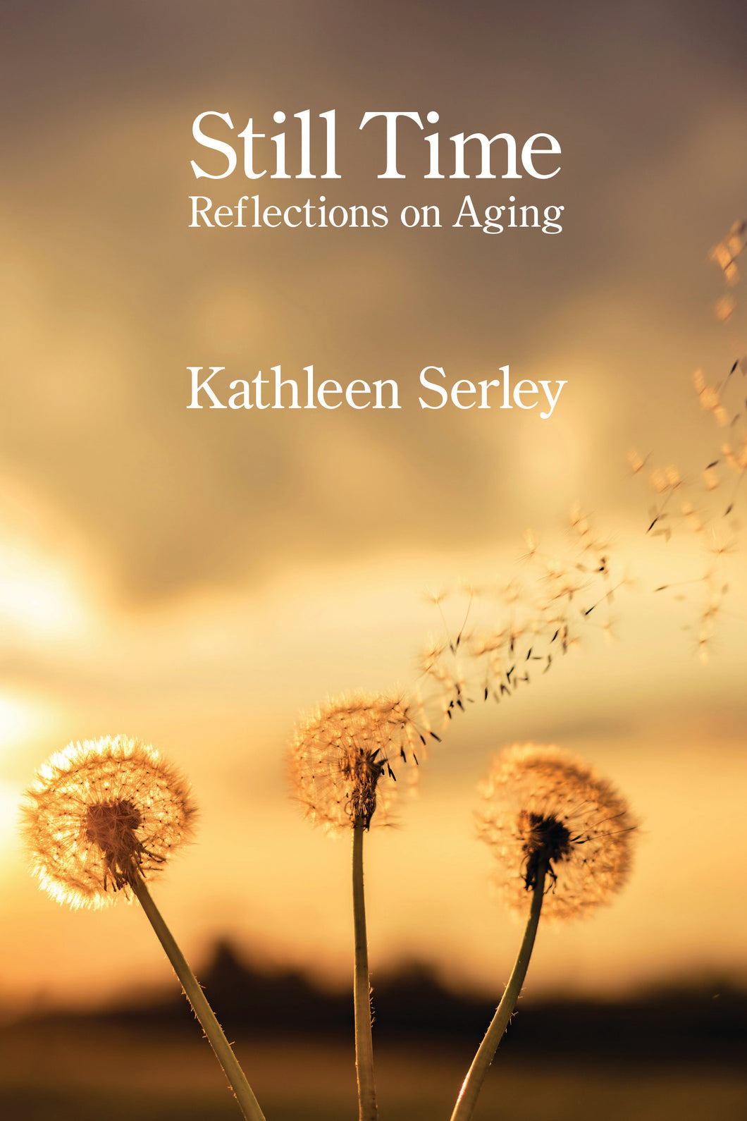 Still Time ~ Reflections on Aging