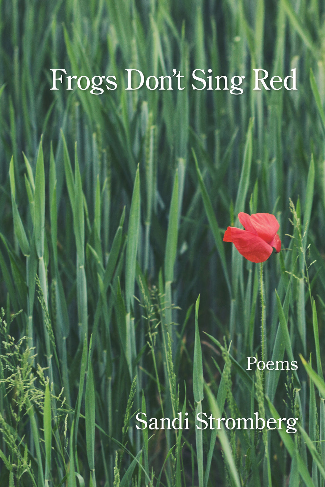 Frogs Don’t Sing Red