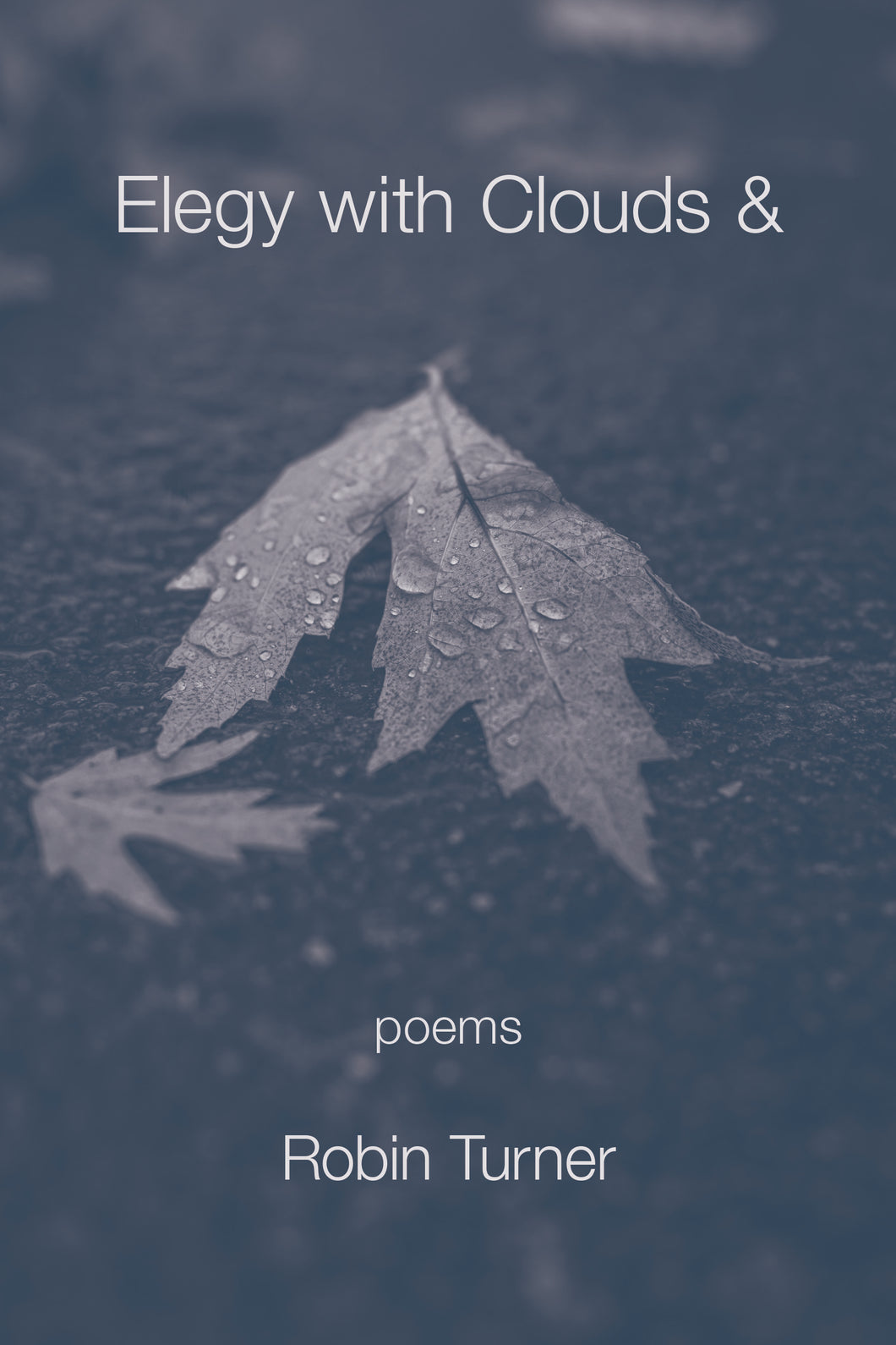 Elegy with Clouds &