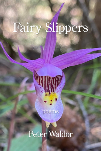 Fairy Slippers