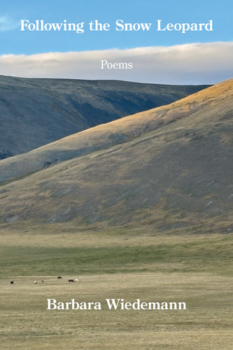 Following the Snow Leopard