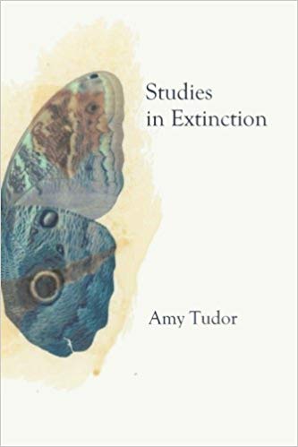 Studies in Extinction