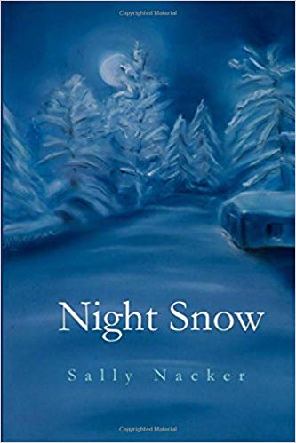 Night Snow