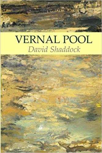 Vernal Pool
