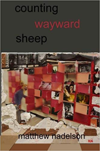 Counting Wayward Sheep
