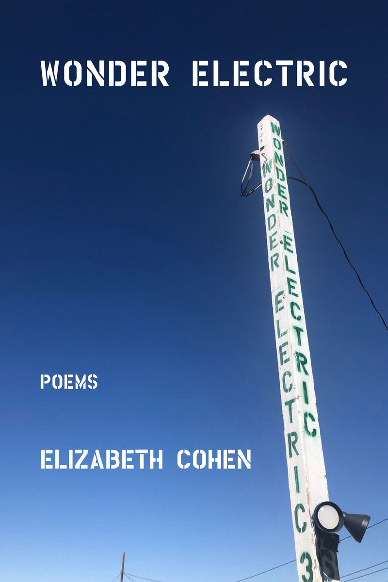 Wonder Electric – Kelsay Books