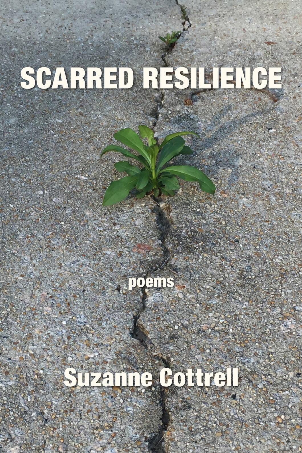 Scarred Resilience