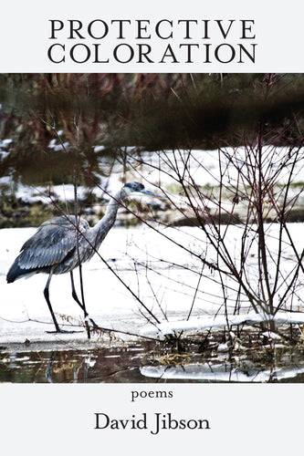 Protective Coloration