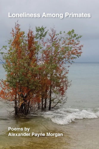 Loneliness Among Primates