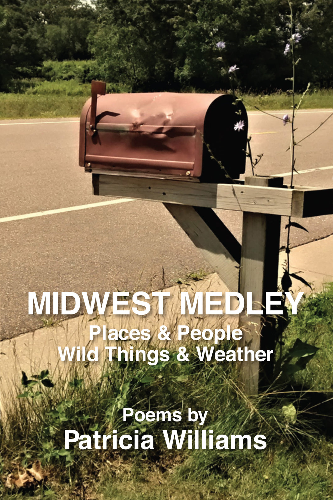 Midwest Medley: Places & People, Wild Things & Weather