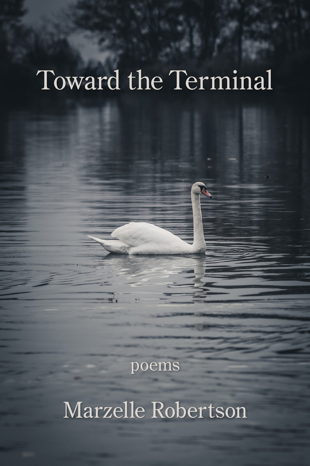 Toward the Terminal