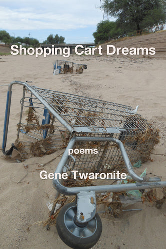 Shopping Cart Dreams