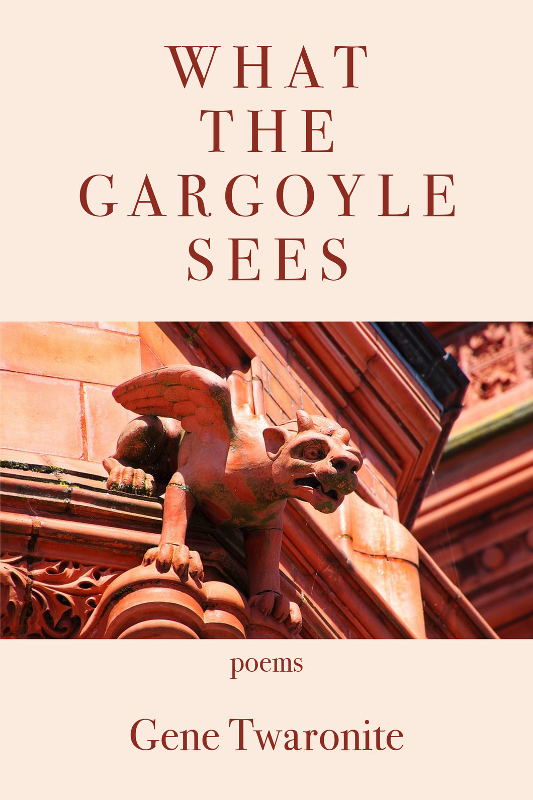 What the Gargoyle Sees