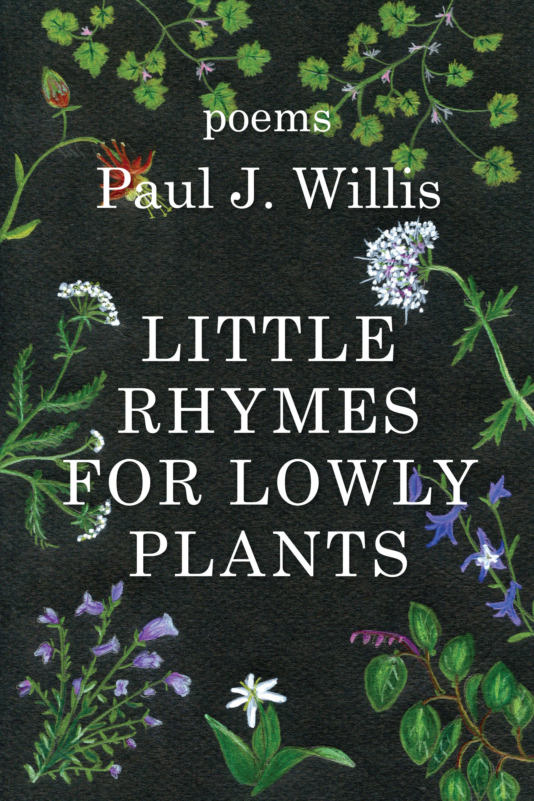 Little Rhymes for Lowly Plants – Kelsay Books